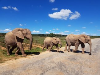 1e prijs Familie Kooistra reis naar Zuid Afrika 1e prijs Familie Kooistra reis naar Zuid Afrika